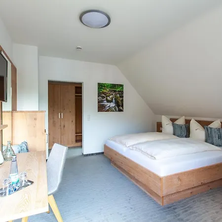 Guest house Rebstock 3*